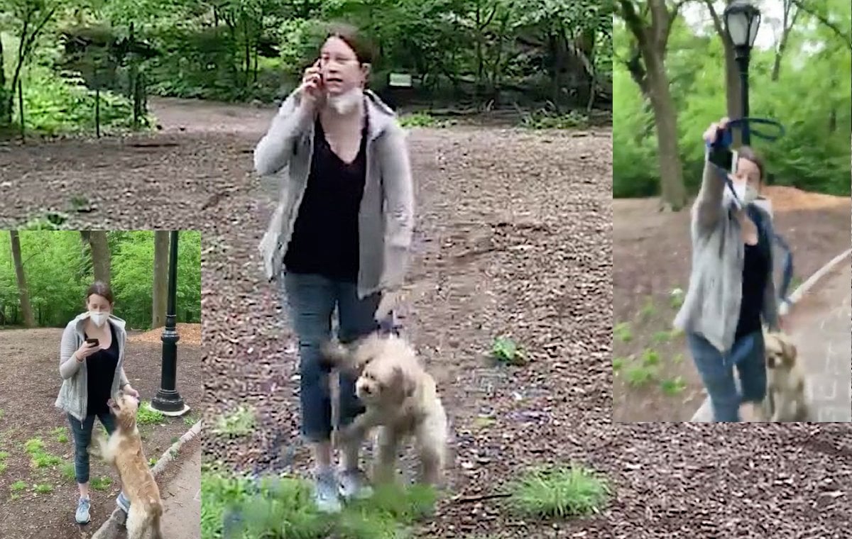 Amy Cooper yanks her dog's leash while calling the police.