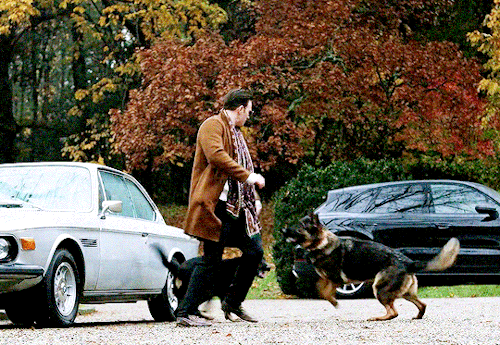 Chris Evans being attacked by dogs