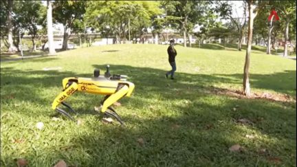 singapore robodog