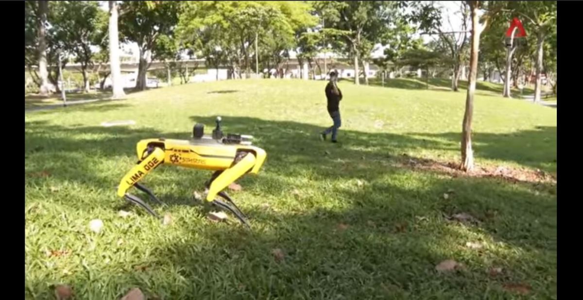 singapore robodog
