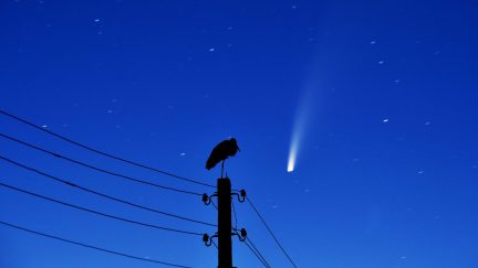 TOPSHOT - A stork stands on a power lines pillar as the comet C/2020 F3 (NEOWISE) is seen in the sky above the village of Kreva, some 100 km northwest of Minsk, early on July 13, 2020. (Photo by Sergei GAPON / AFP) (Photo by SERGEI GAPON/AFP via Getty Images)