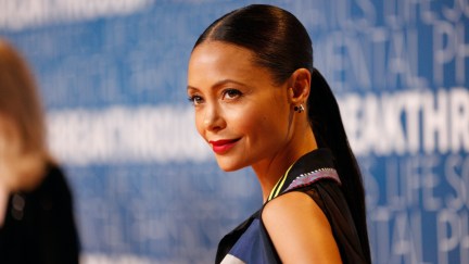 MOUNTAIN VIEW, CA - NOVEMBER 04: Thandie Newton attends the 2019 Breakthrough Prize at NASA Ames Research Center on November 4, 2018 in Mountain View, California. (Photo by Kimberly White/Getty Images for Breakthrough Prize)