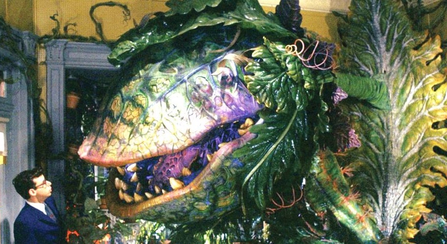 Audrey 2 and Seymour in Little Shop of Horrors