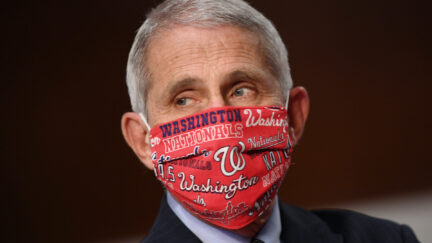 Dr. Anthony Fauci rocks a custom Washington Nationals face mask.