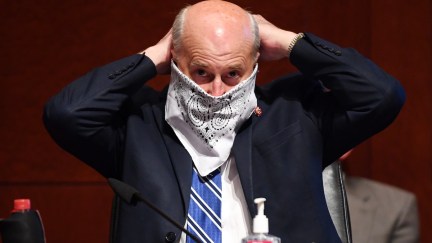 U.S. Rep. Louie Gohmert (R-TX) adjusts his face mask during a House Judiciary Committee markup