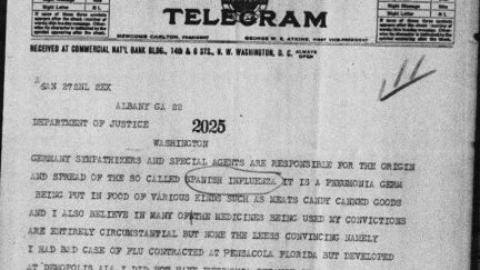 Telegram from 1918 about the Spanish Flu pandemic conspiracy theory