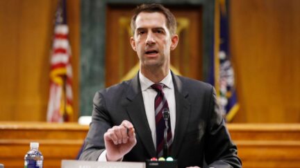 Sen. Tom Cotton, R-AR speaks during a Senate Intelligence Committee