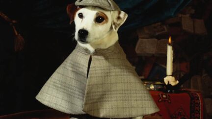 wishbone as sherlock holmes