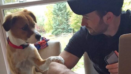 Chris Evans and Dodger