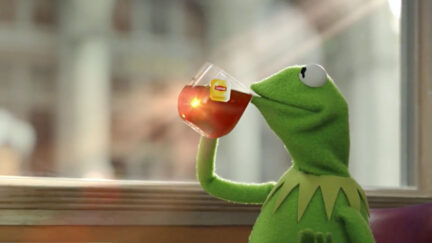 kermit drinks tea