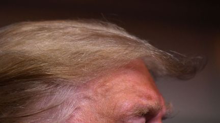 A closeup of Donald Trump's hair.