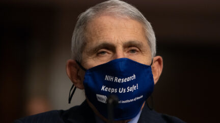Anthony Fauci wears a mask to testify before COngress.