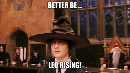 harry potter is a leo meme