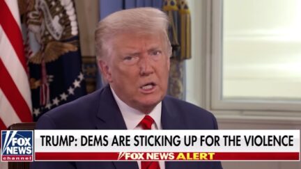 Donald Trump appears on Fox News for an interview.