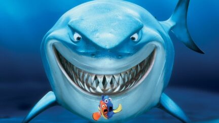 Bruce from Finding Nemo