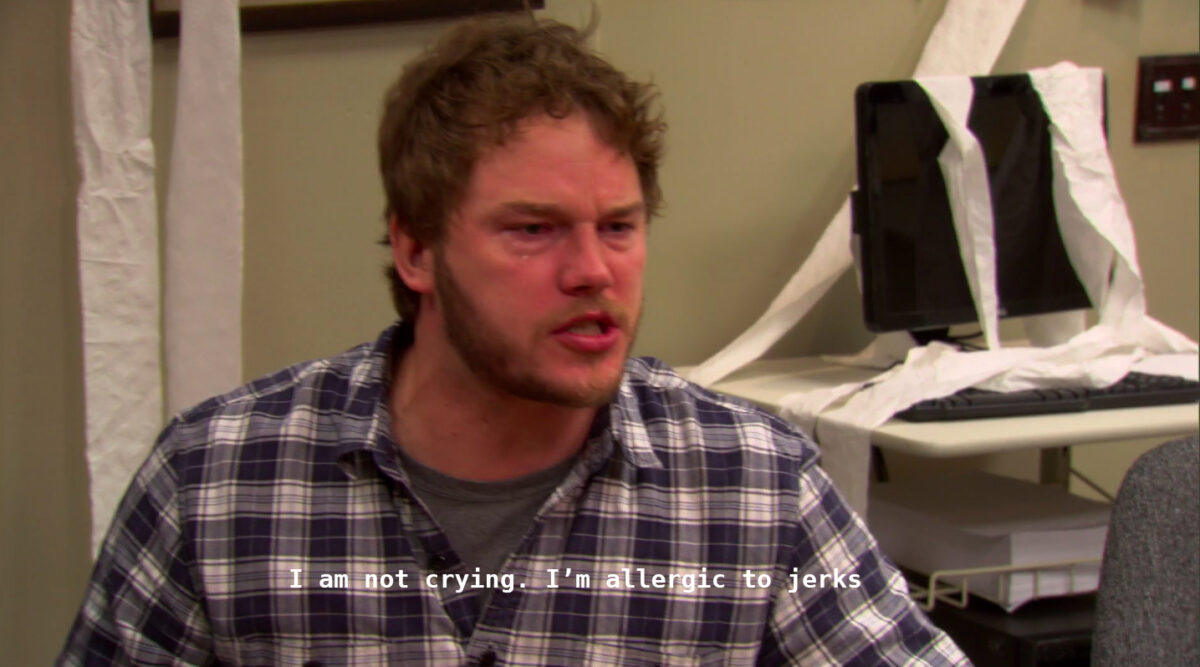 Chris Pratt as Andy Dwyer