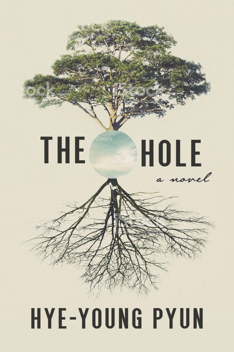 Book cover for The Hole by Hye-Young Pyun