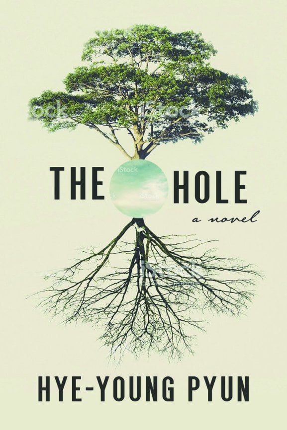 Book cover for The Hole by Hye-Young Pyun
