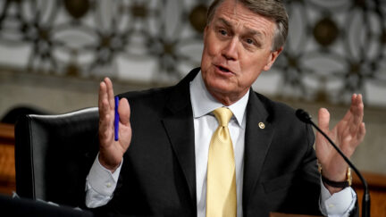 david perdue