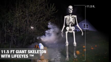 giant skeleton