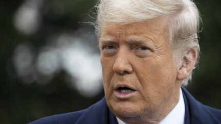 Donald Trump looks confused.