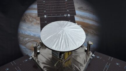A 1/4 scale model of NASA's Juno Spacecraft is seen in front of an image of Jupiter, at the Jet Propulsion Laboratory (JPL) in Pasadena, California, July 3, 2016. NASA's solar-powered Juno spacecraft is scheduled to enter into orbit around Jupiter on July 4 to begin an in-depth study of the planet's formation, evolution and structure. The key event on July 4 is a 35-minute engine burn at 11:18 p.m. EDT (0318 GMT on Tuesday), which is designed to slow Juno down enough to be captured by Jupiter's powerful gravity. / AFP / Robyn Beck (Photo credit should read ROBYN BECK/AFP via Getty Images)