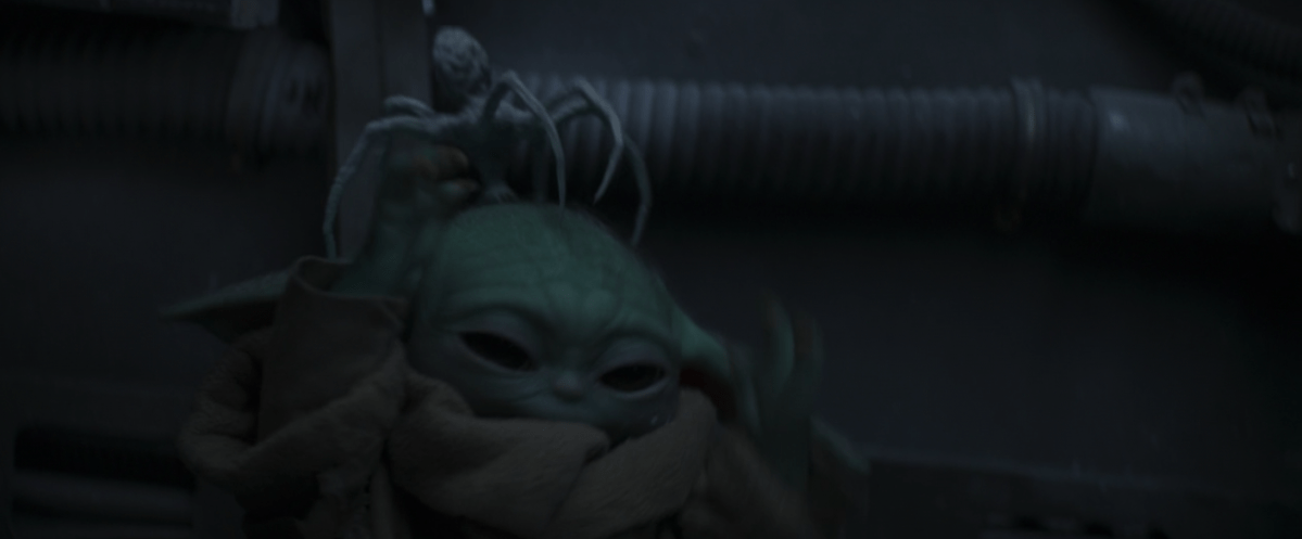 baby yoda vs the spider