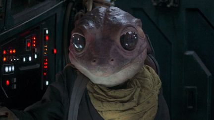 frog lady in the mandalorian