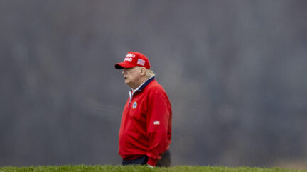 Donald Trump looks sad while playing golf.