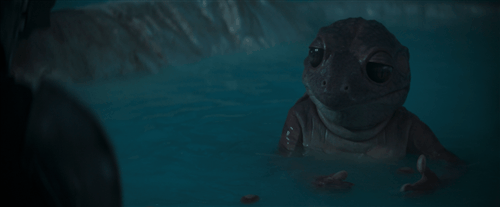 frog lady in the hot tub