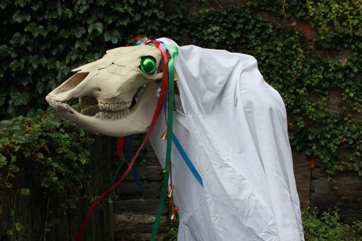 horse skull celebrates christmas