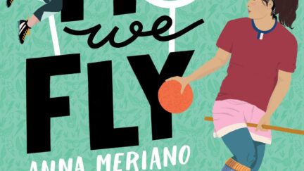 Book cover for This Is How We Fly by Ana Meriano