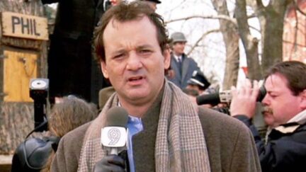 its ground hog day. again.