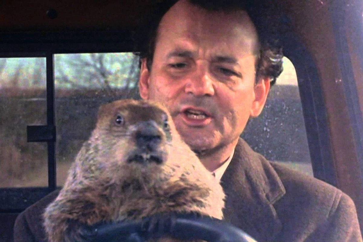 Today, Punxsutawney Phil had to look and see if we were getting more winter...
