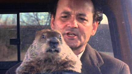 Bill Murray as Phil Conners
