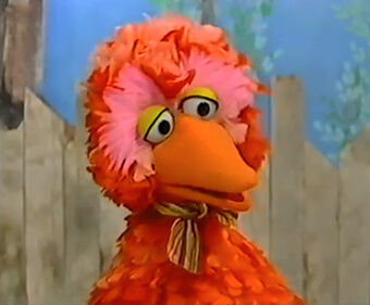 Minik kus Turkish big bird