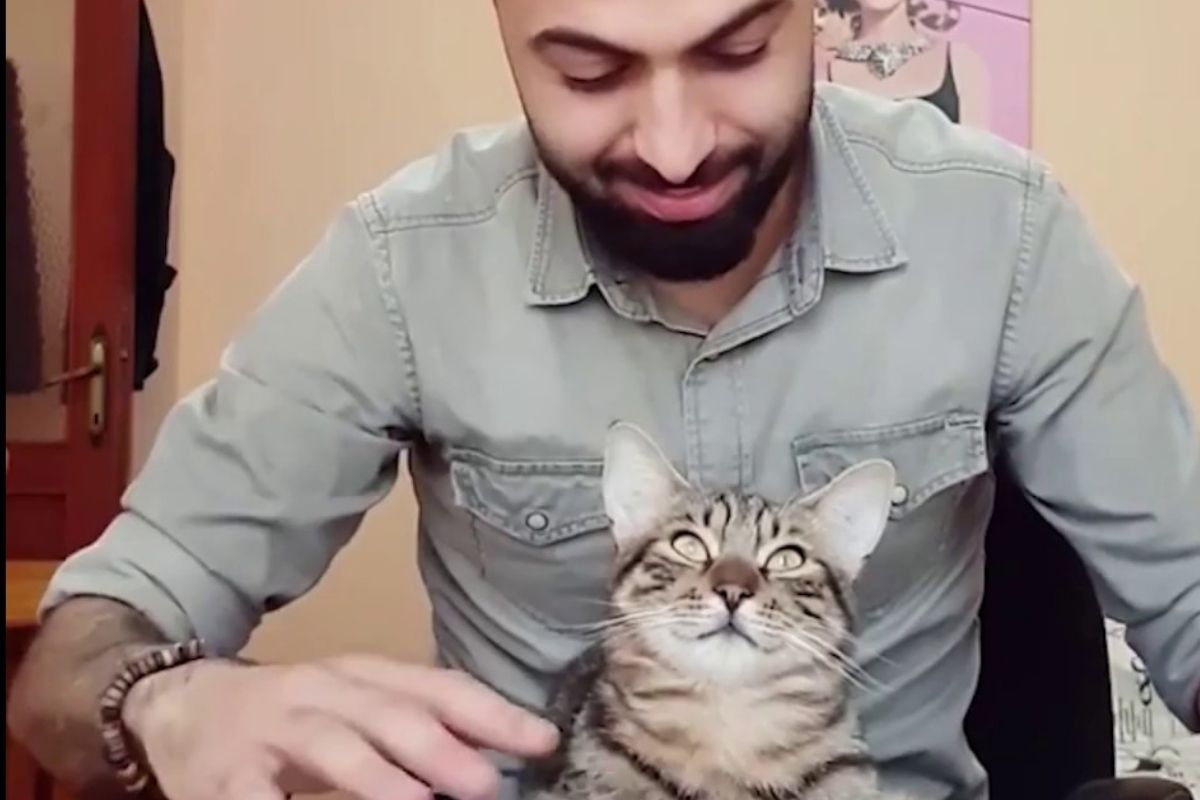 Sarper Duman plays the piano for his cats.