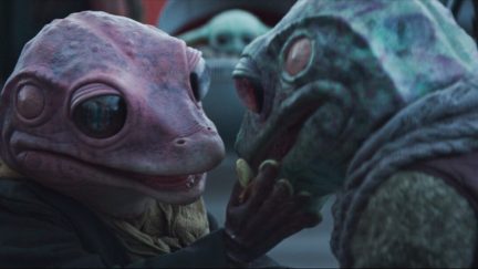 Frog Lady and her Husband