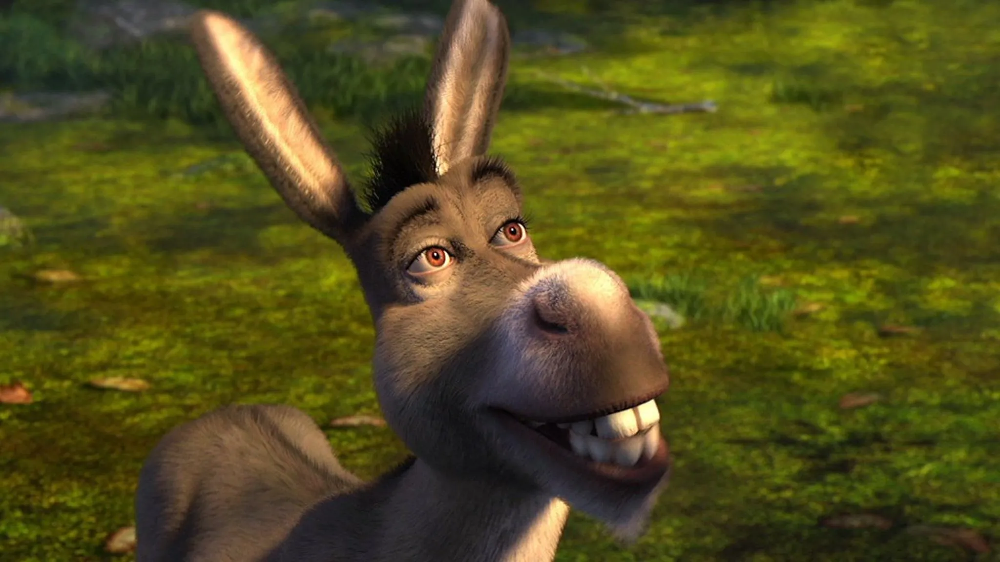 Donkey in Shrek.