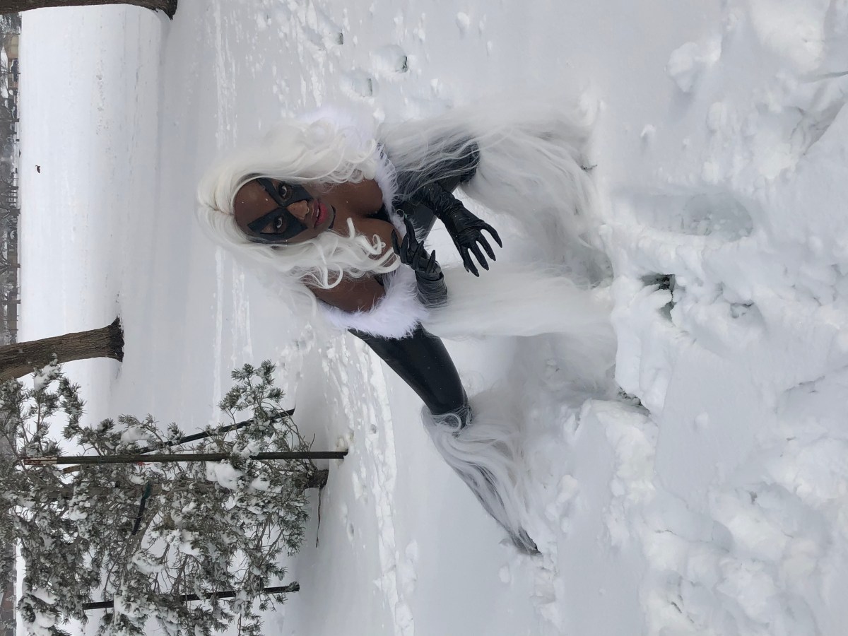 Marie Perky Cookie as Black Cat