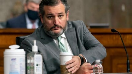 Ted Cruz looks directly into the camera while reaching for his coffee during a Senate hearing.