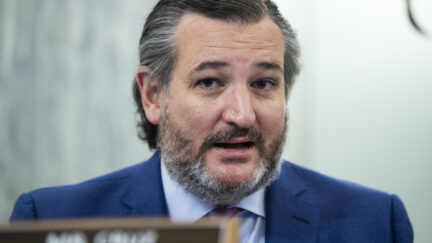 Ted Cruz speaks during a Senate hearing.