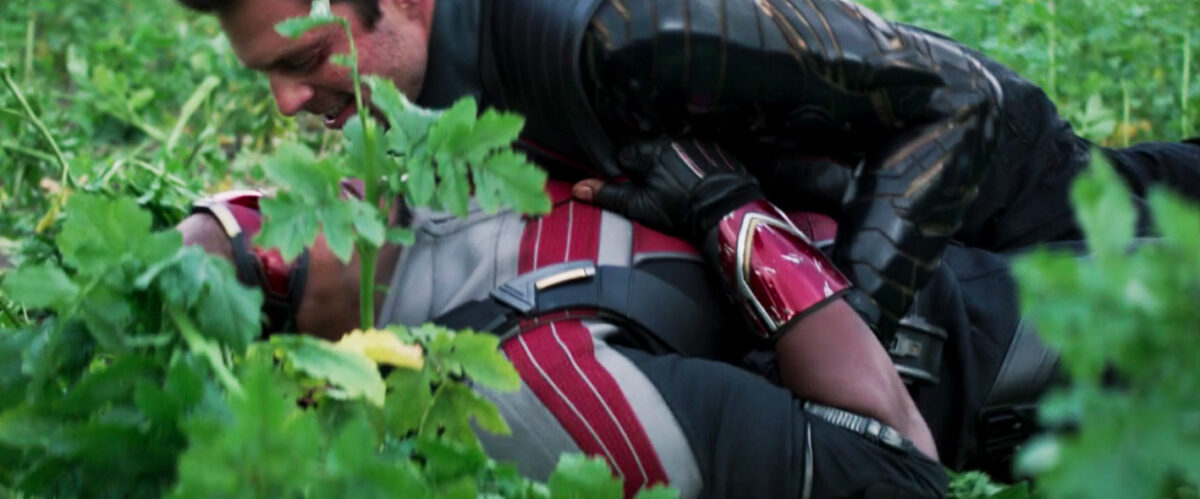 Sam and Bucky in a field