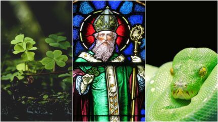 Collage of clovers, St. Patrick, and a snake.
