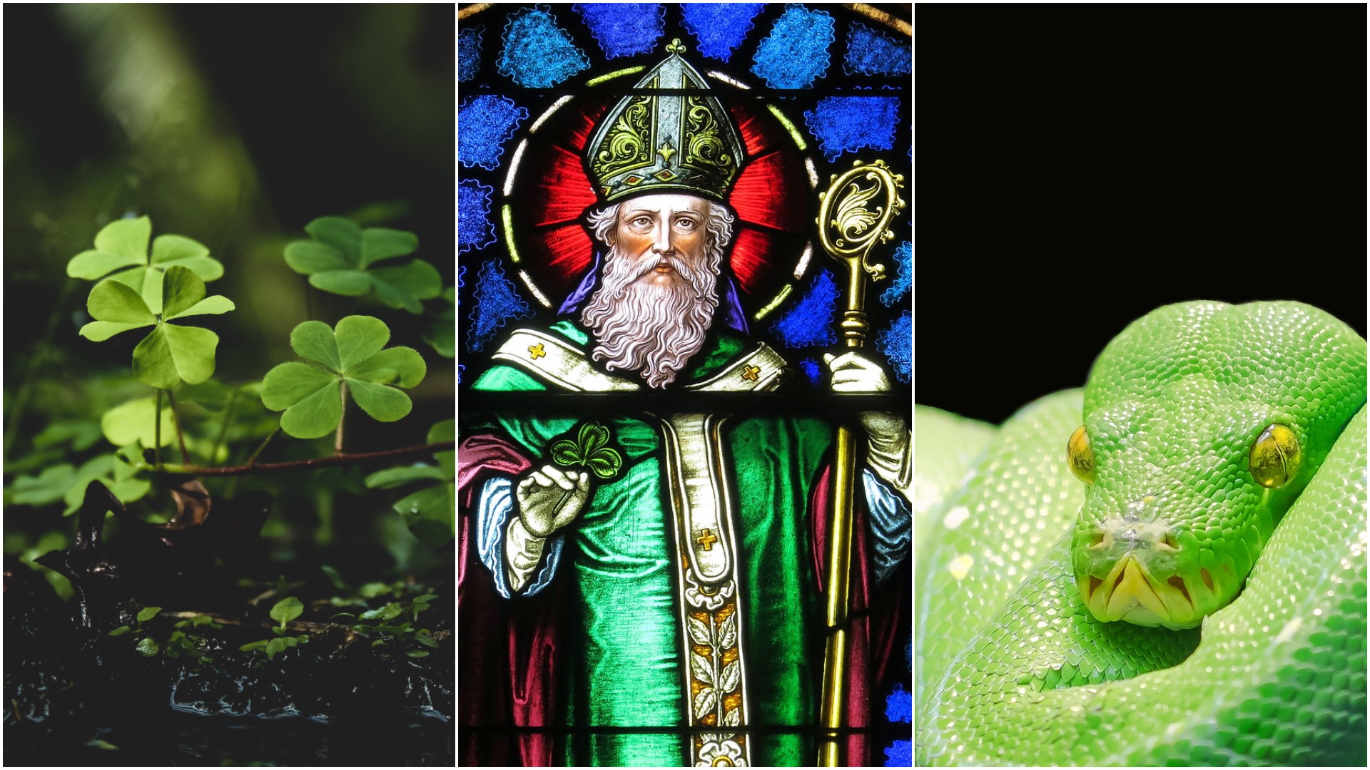 The Truth About Saint Patrick, Snakes, Pagans, and More