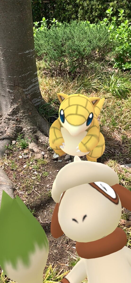 Screenshot from upcoming New Pokemon Snap Celebration