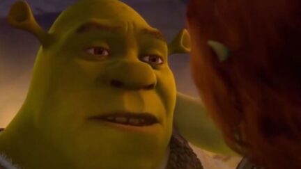 Shrek and Fiona in Shrek Forever After.
