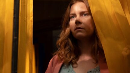 The Woman in the Window Amy Adams