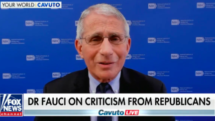 Dr. Fauci speaks on Fox News above a chyron reading, 