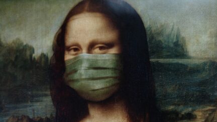 Mona Lisa in a face mask